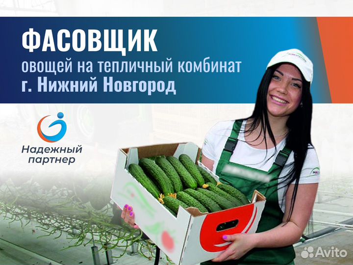 Фасовщик овощей. г. Нижний Новгород