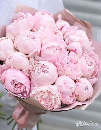 Пионы Букеты Цветы Доставка