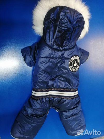 Зимний костюм для мелкой собачки