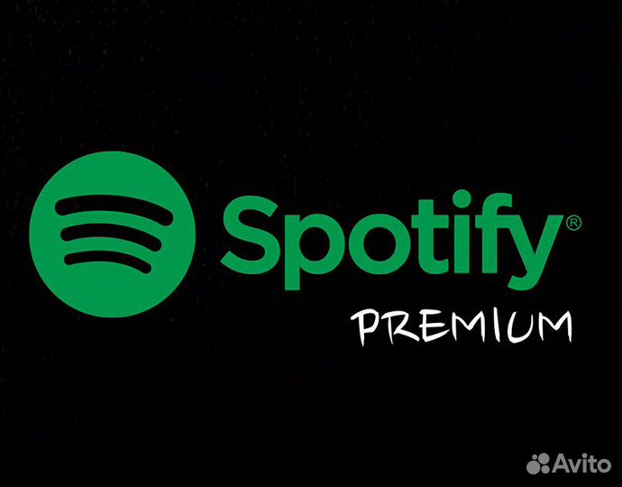 Spotify premium индивидуальный 3/6/12 месяцев