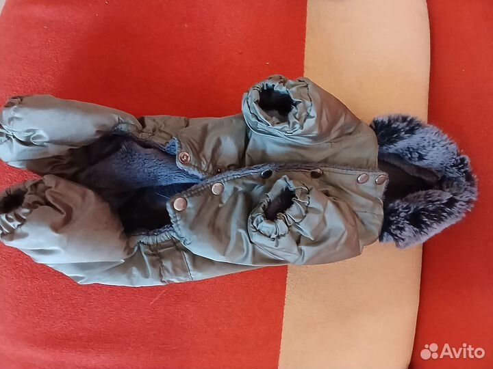 Зимний комбинезон и ошейники