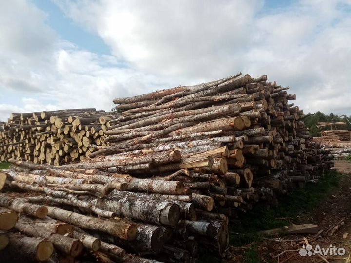 Баланс на дрова береза