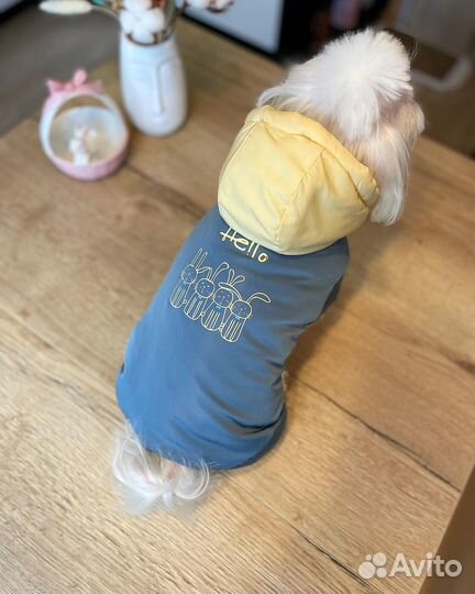 Демисезонные комбинезоны для собак (L-XXL)