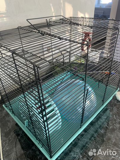 Клетка для сирийского хомяка