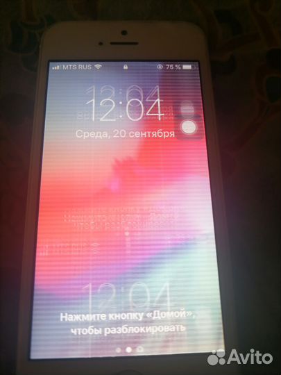 Телефон iPhone 5s