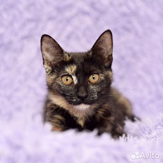 Виталина ищет маму и папу