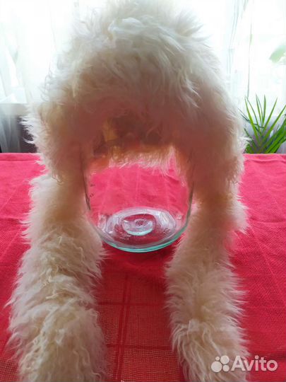 Шапка детская для девочки зимняя