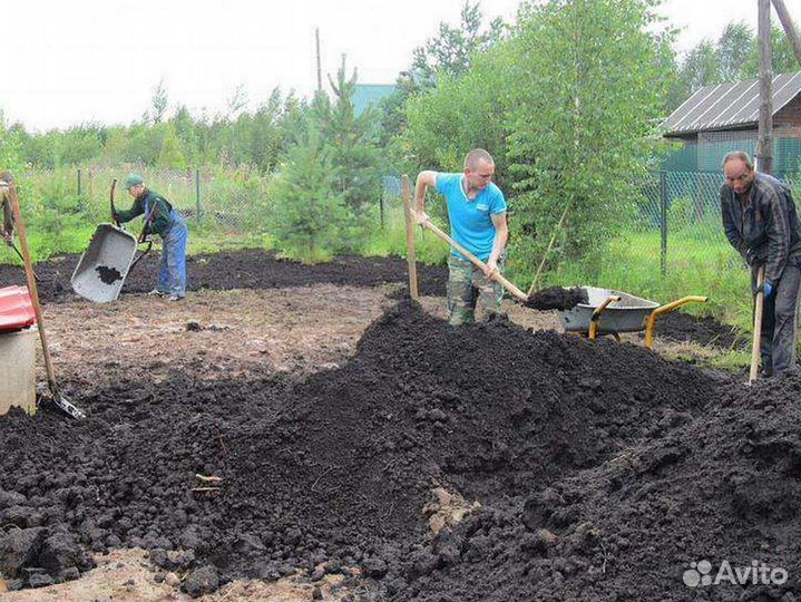 Разнорабочие / грузчики / землекопы