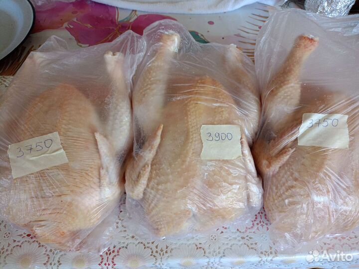 Куриное мясо