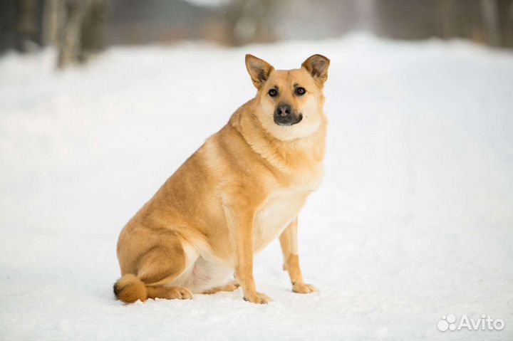 Лорочка