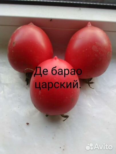 Семена Томата и Огурца Старинных сортов