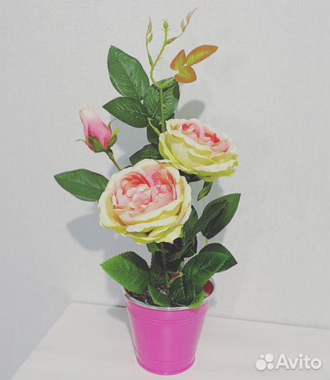 Интерьерные композиции