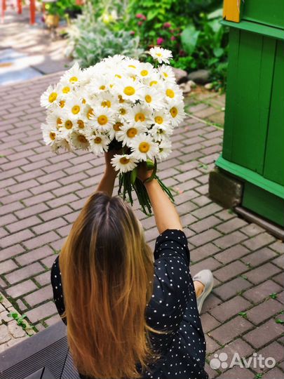 Ромашка букет