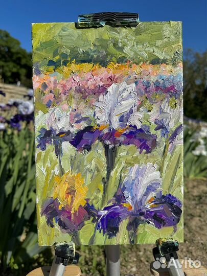 Картина маслом. Ирисы. Никитский Ботанический Сад