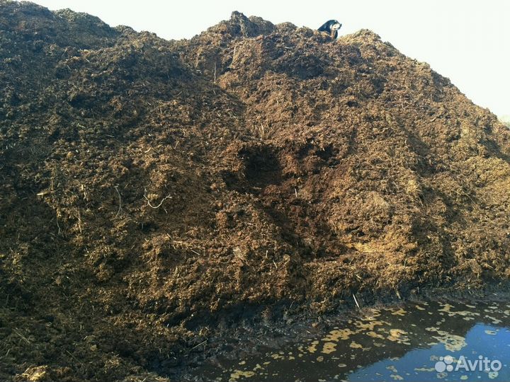 Навоз конский в мешках. (1мешок-50л)