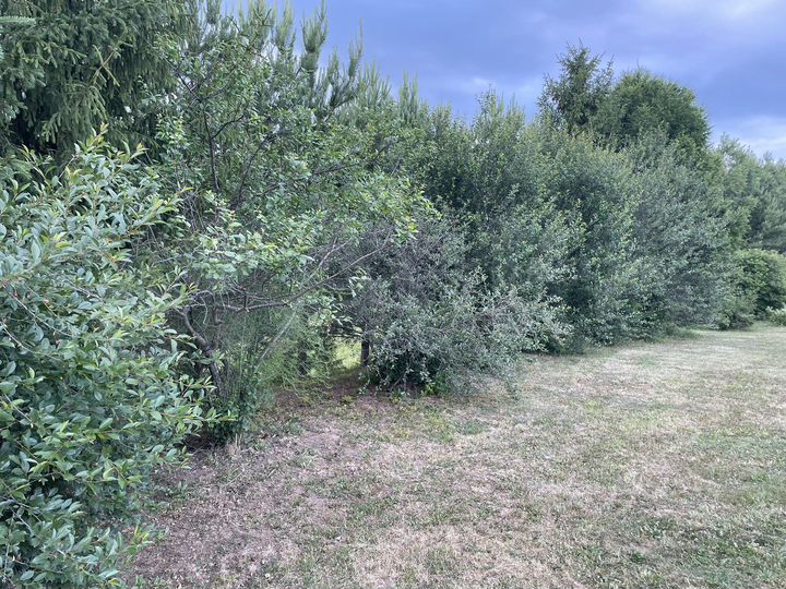 Участок 14 сот. (ИЖС)