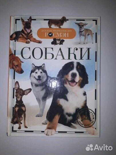 Энциклопедия