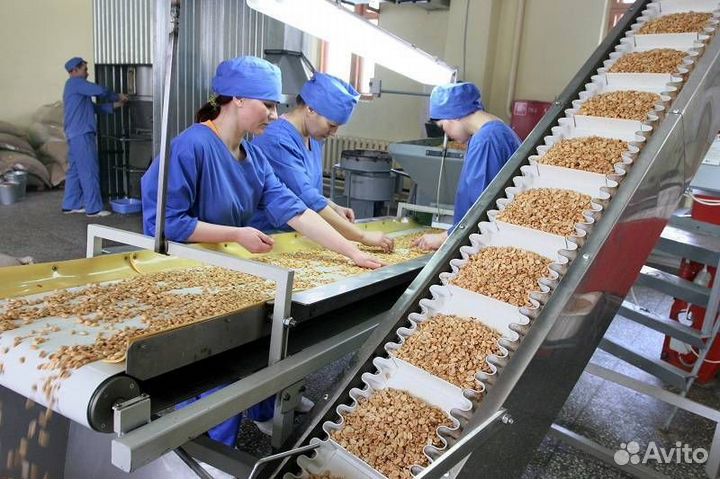 Производство по очистке, сушке и фасовке орехов