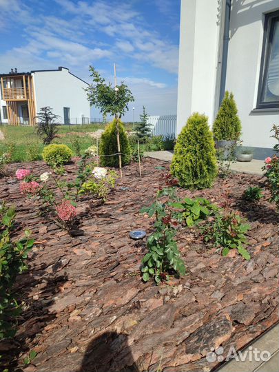 Кора сосны, Мульча. Крупная и средняя фракция