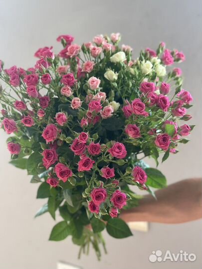 Розы крымские и голландские