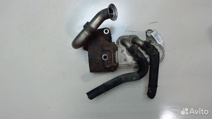 Охладитель отработанных газов LDV (DAF) Maxus, 200