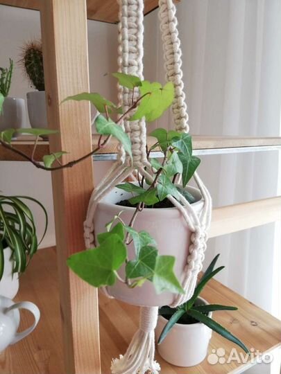 Кашпо подвесное для цветов новое