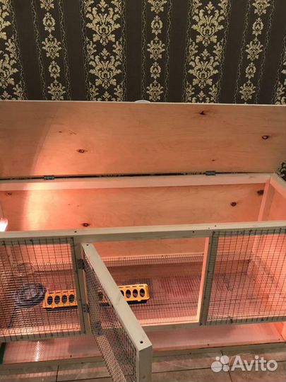 Брудер для цыплят