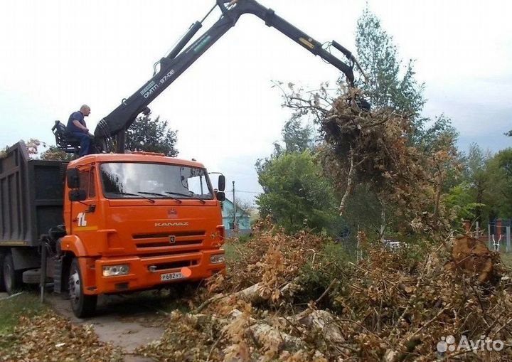 Выввоз мусора хлама веток деревьев ломовоз хапуга