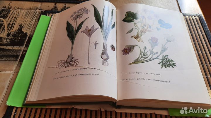 Книга лечение лекарствннными травами