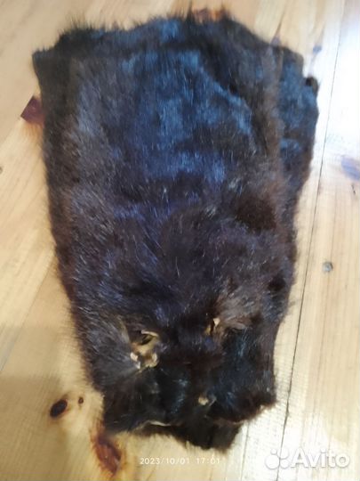 Шкуры нутрий