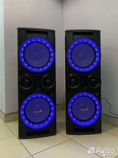 Акустическая система каоаоке ElTronic 12N