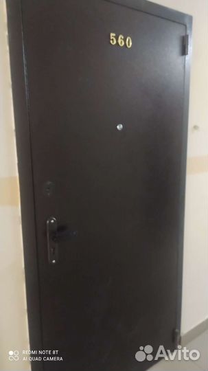 Железная дверь