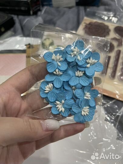 Все для хобби за Kinder