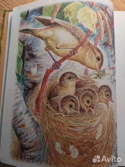 Сказки и рассказы про животных