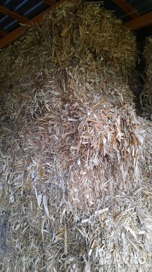 Сено в квадратных тюках