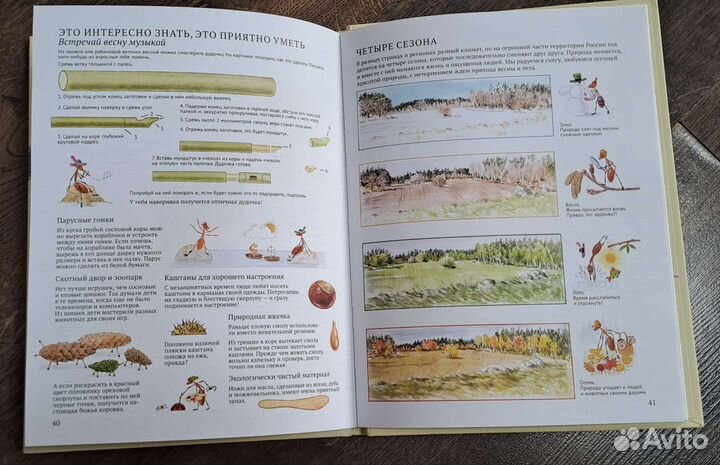 Книги для детей: Софи в мире деревьев, картонки