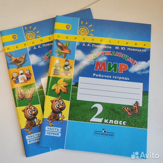 Рабочие тетради перспектива