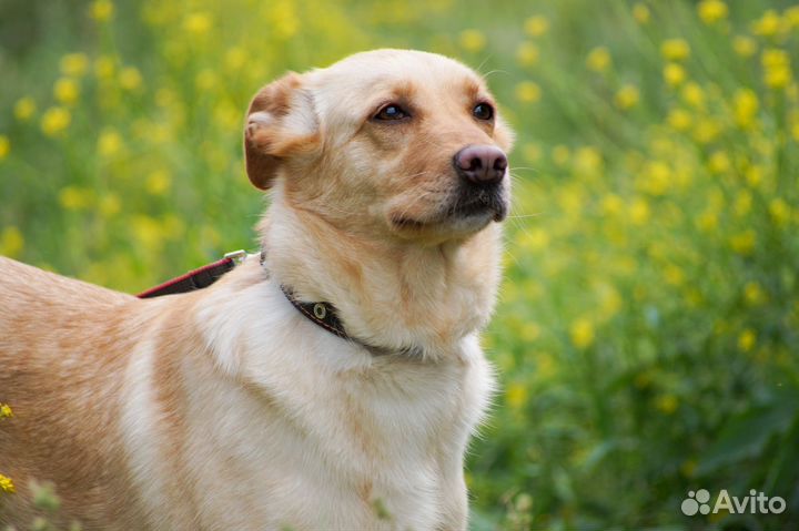 Зои - само совершенство