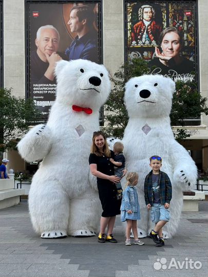 Панда, Медведь, Тедди, поздравление, сюрприз