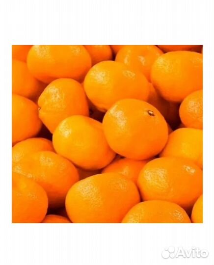 Yodeyma vivacity Вода парфюмерная 15 мл