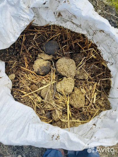 Навоз конский, перегной, торф, опилки мешки