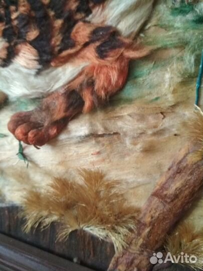 Картина Тигр.кндр.80-е