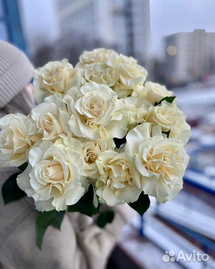 Вывернутая французская роза эквадор