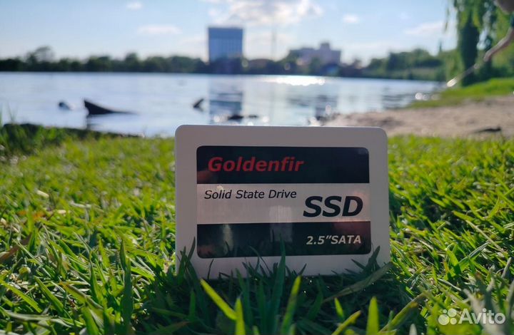 Ssd goldenfir 256 gb