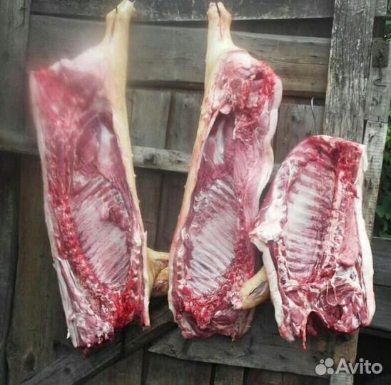 Мясо свинина домашняя