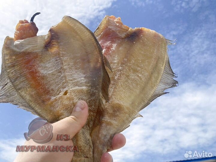 Ерш Мурманский