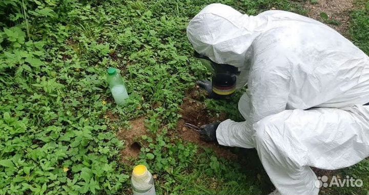 Уничтожение клещей, кротов, ос, тараканов и клопов
