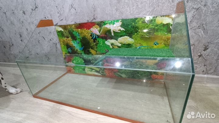Аквариум с бережком