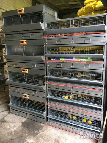 Клетка для перепелов