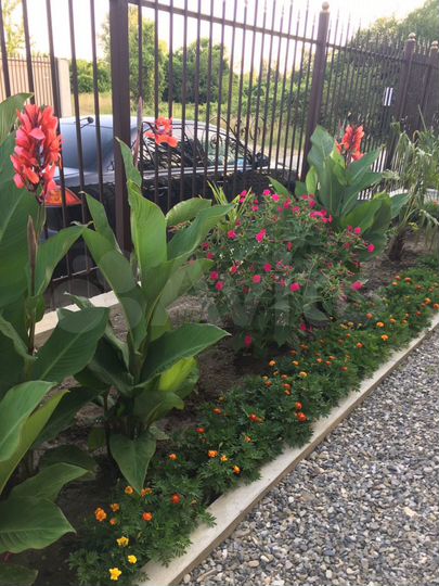 Комната 20 м² в 7-к., 1/1 эт.